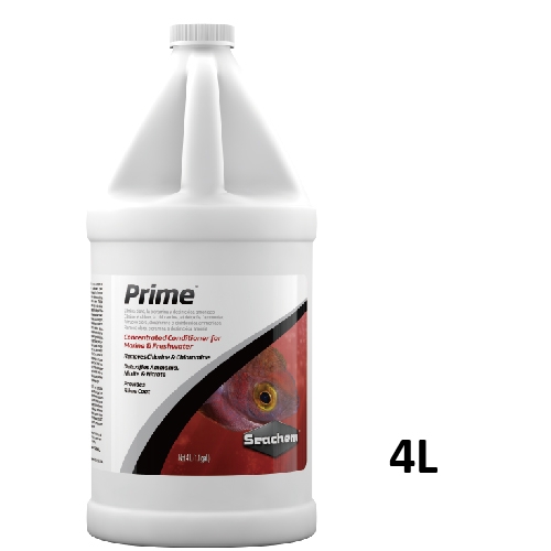 prime 4L-01