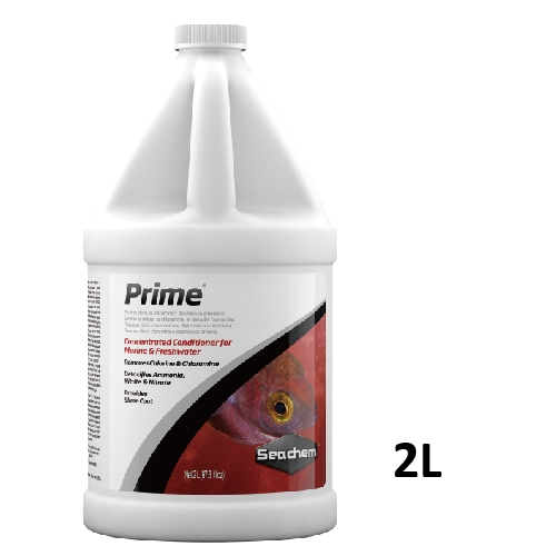 prime 2L-01